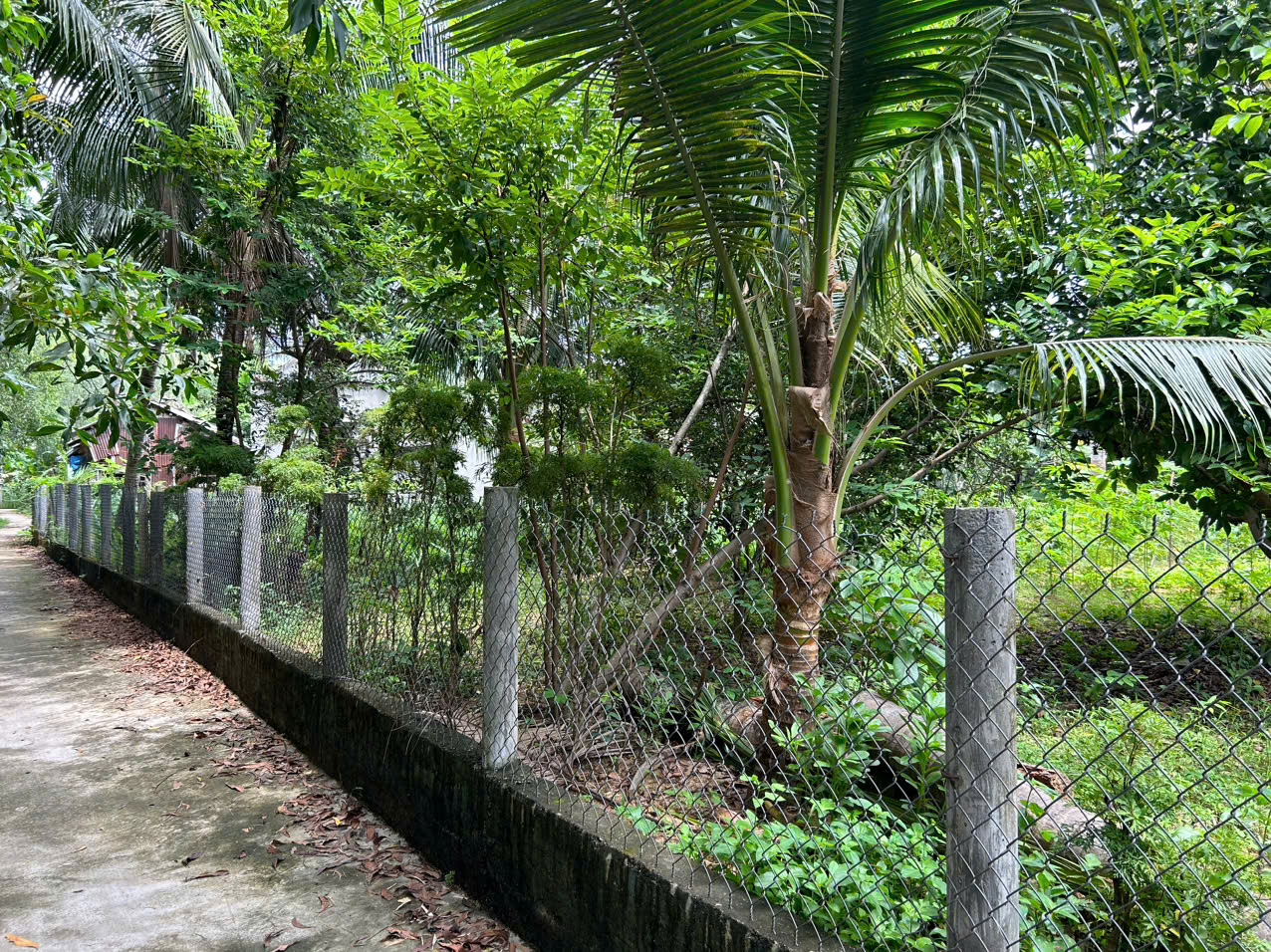 đất nền hoài mỹ hoài nhơn giá rẻ